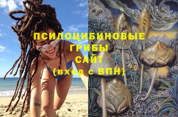 ешки Вязьма