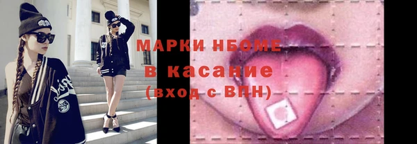 шишки Гусев