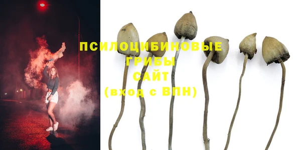 МДПВ Горняк