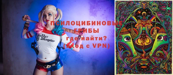 стафф Горно-Алтайск