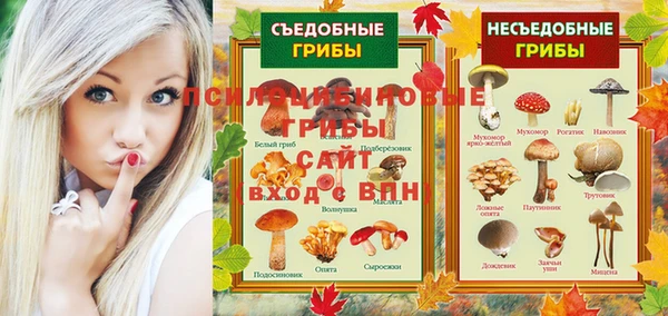 дживик Гусь-Хрустальный