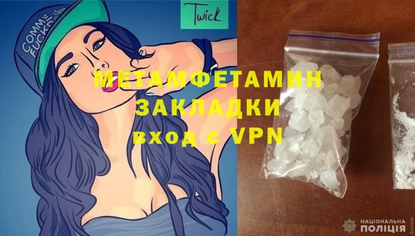 шишки Гусев