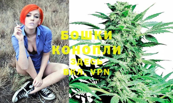 МДПВ Горняк