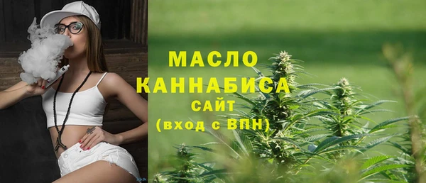 mdpv Вяземский
